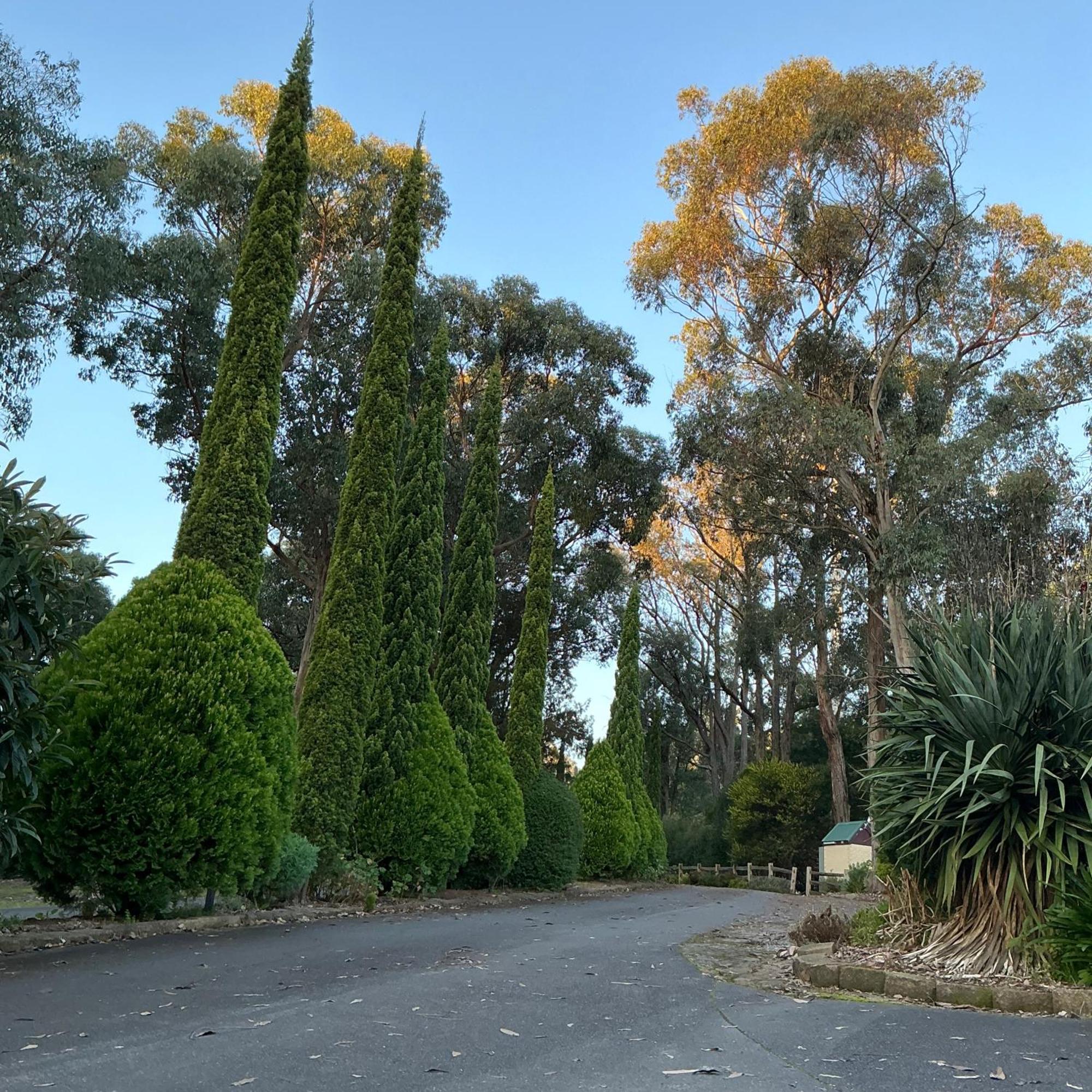 Sanctuary House Resort Motel Healesville Exteriör bild